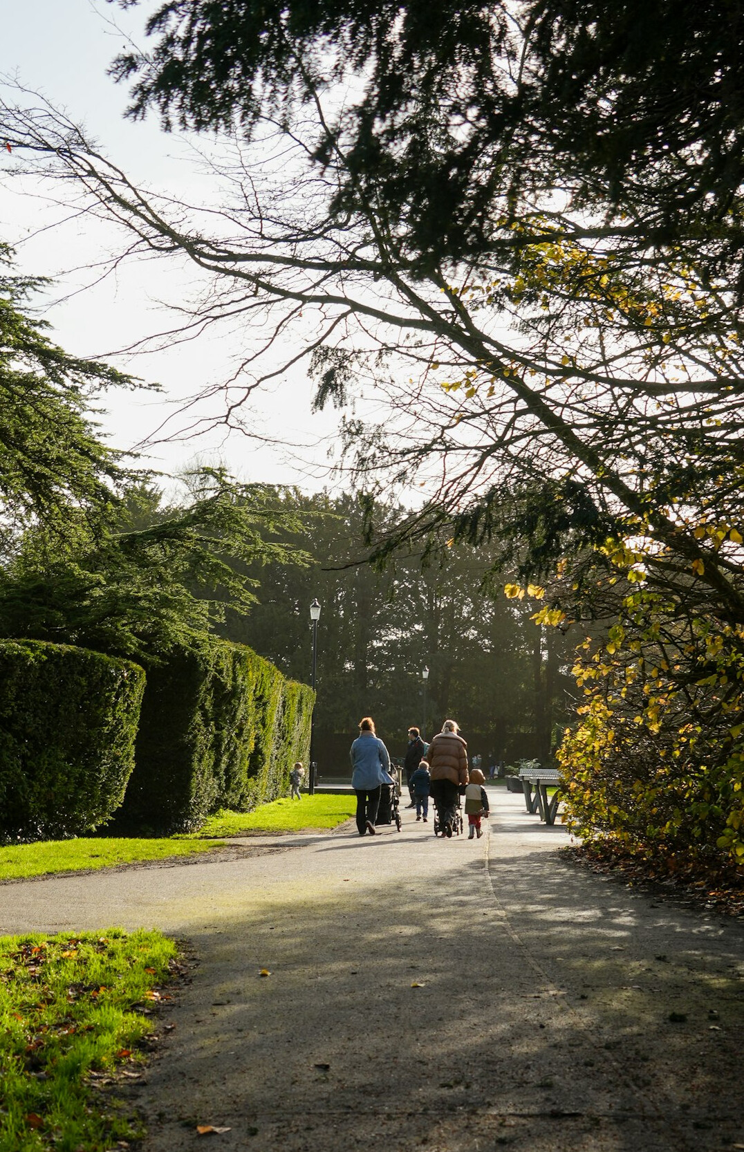 group of seniors walking in park